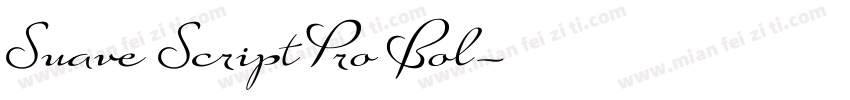 Suave Script Pro Bol字体转换
